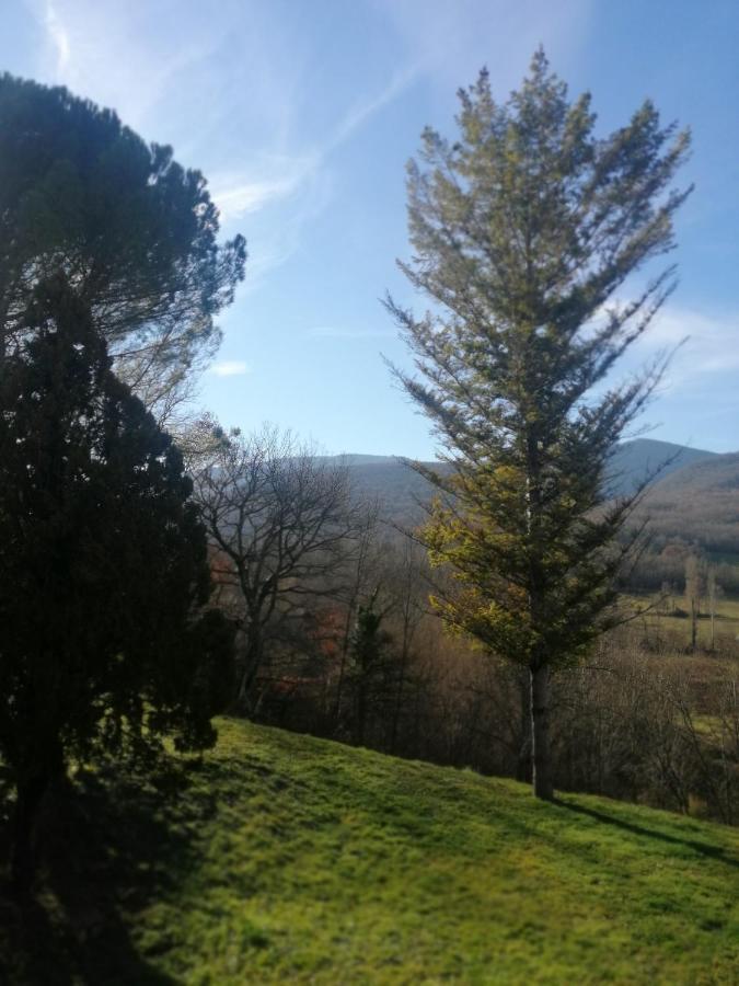 Location De Vacances A Neylis Avec Vue Sur Les Forets Et Les Champs Carla-de-Roquefort Екстер'єр фото
